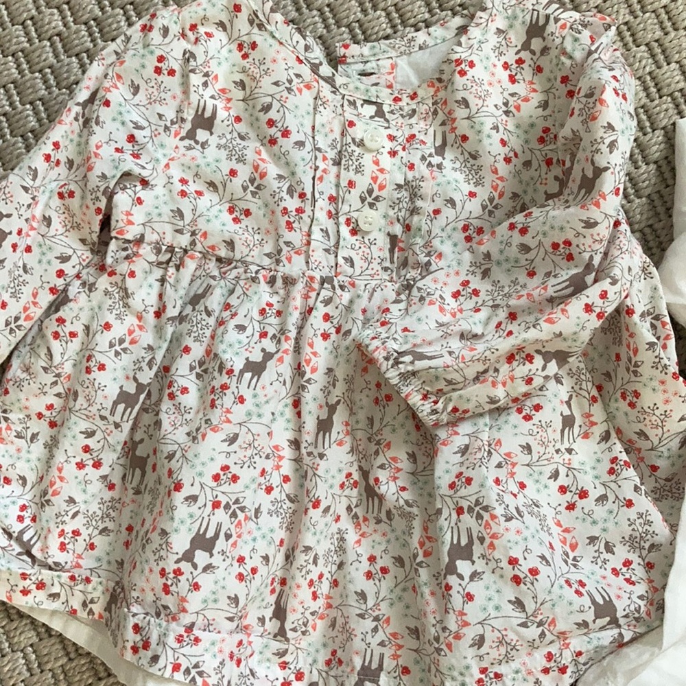 Gymboree - two blouses